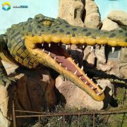 Тропик парк - крокодил